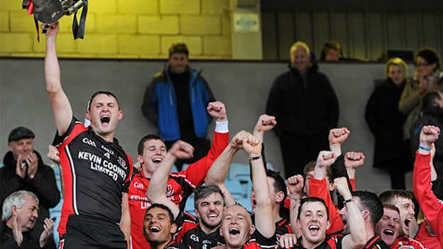 Wexford SHC: Oulart make it seven titles in eight years